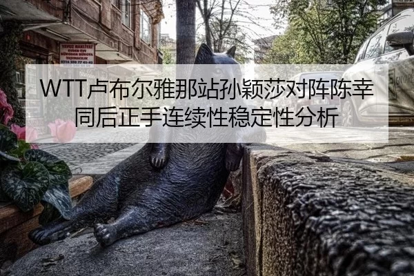 WTT卢布尔雅那站孙颖莎对阵陈幸同后正手连续性稳定性分析