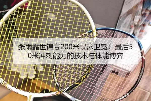zhang-yu-fei-shi-jin-sai-mi-die-yong-wei-mian-zui-hou-mi-chong-ci-neng-li-de-ji-shu-yu-ti-neng-bo-yi-3-616.jpg